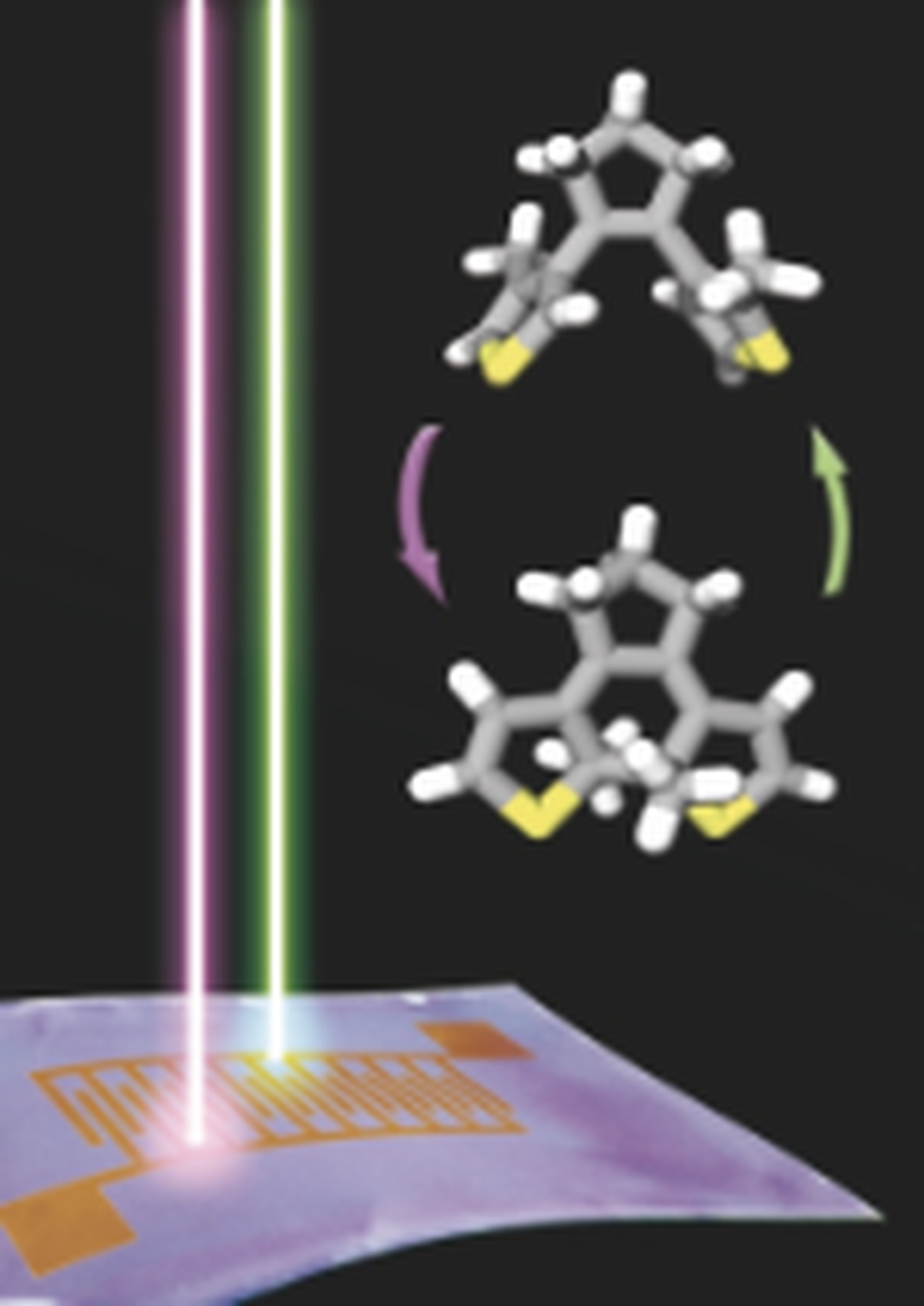 A Breakthrough in Organic Electronics: all-organic, flexible optical memory devices