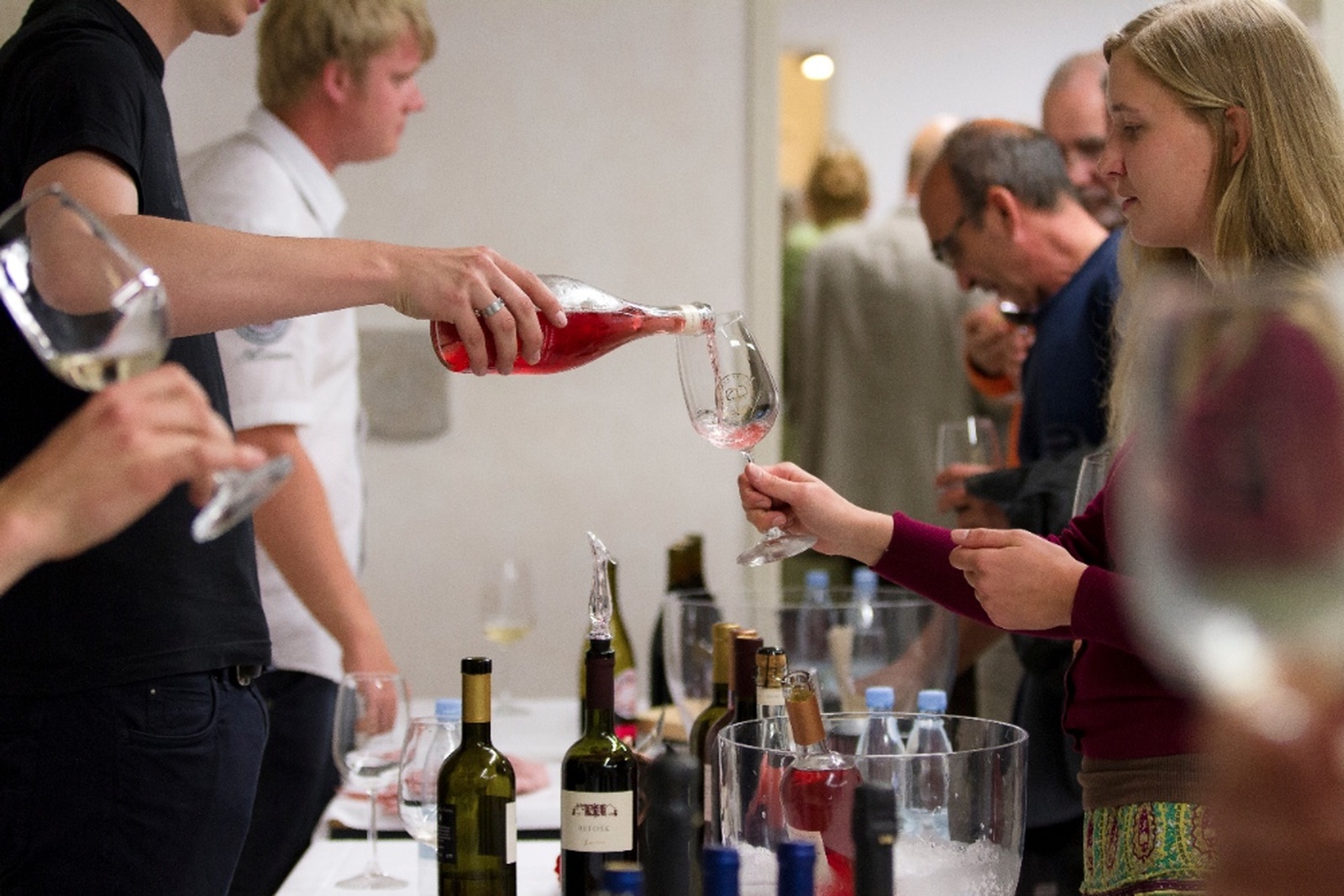 Student Wine Festival of the School of Viticulture and Enology of the University of Nova Gorica