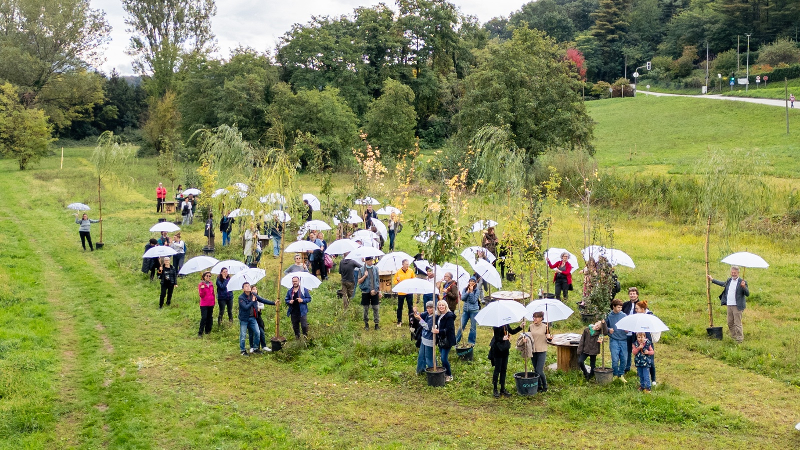 Community Lunch with Trees Celebrates Cross-Border Unity and Sustainability