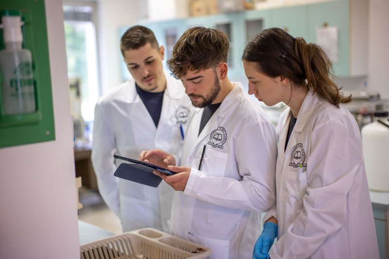 003_FakultetaZaZnanostiOOkolju_LukaCarlevaris_230425