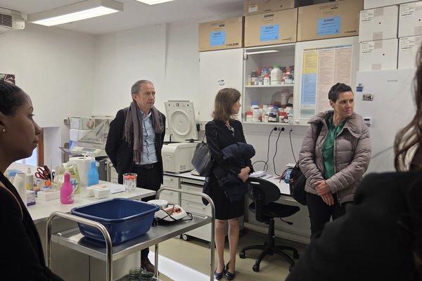 Across TT1.2 visit of UNG 3