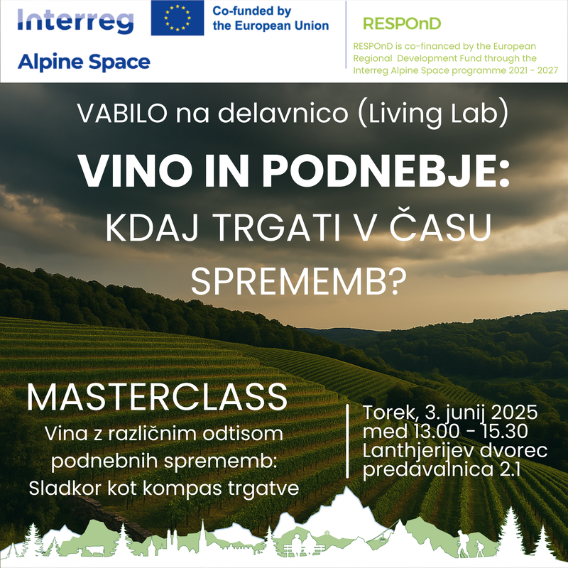 Na fotografiji je terasasti vinograd, ki ga obkrožajo temni oblaki. Besedilo na fotografiji vabi na doelanico ter izpostavlja Masterclass.