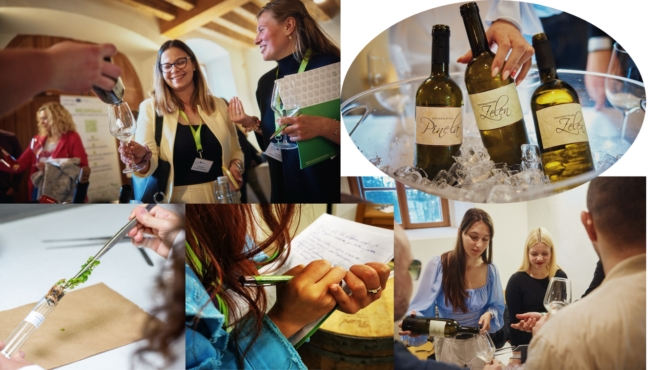 Študentje FVV na festivalih vin in laboratoriju.