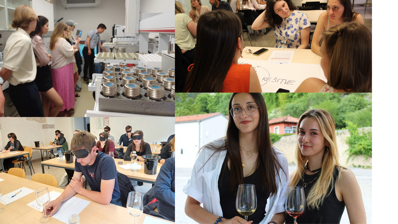 Na kolažu fotografij so sštudentje FVV pri delu v laboratoriju, na degustacijah, delavnicah ter festivalih vin.