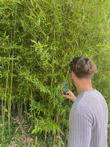 mapping_the_presence_of_invasive_species